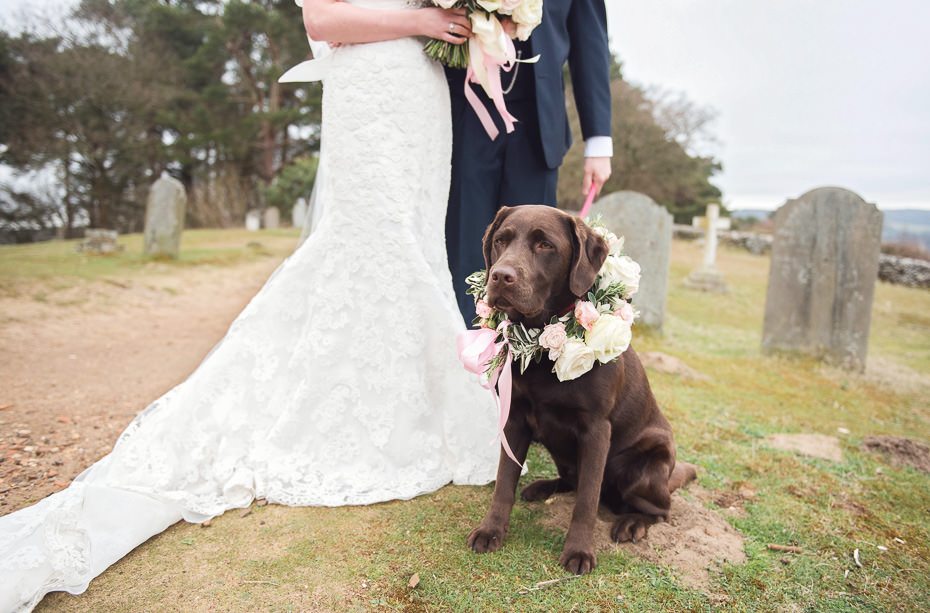Wedding photographs with dogs and flowers