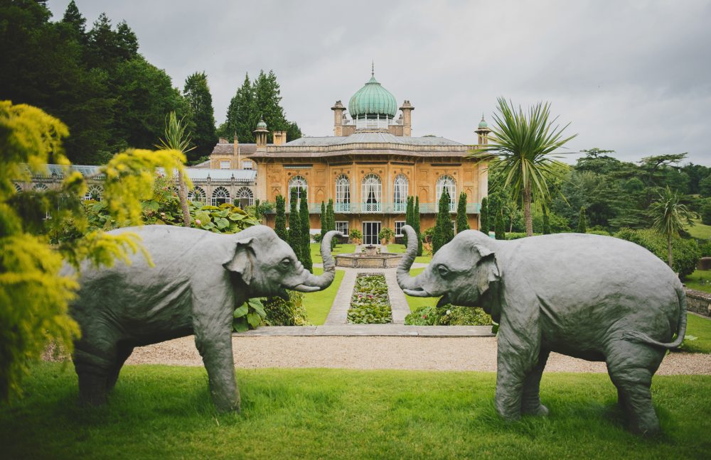 The gardens with Indian Elephants